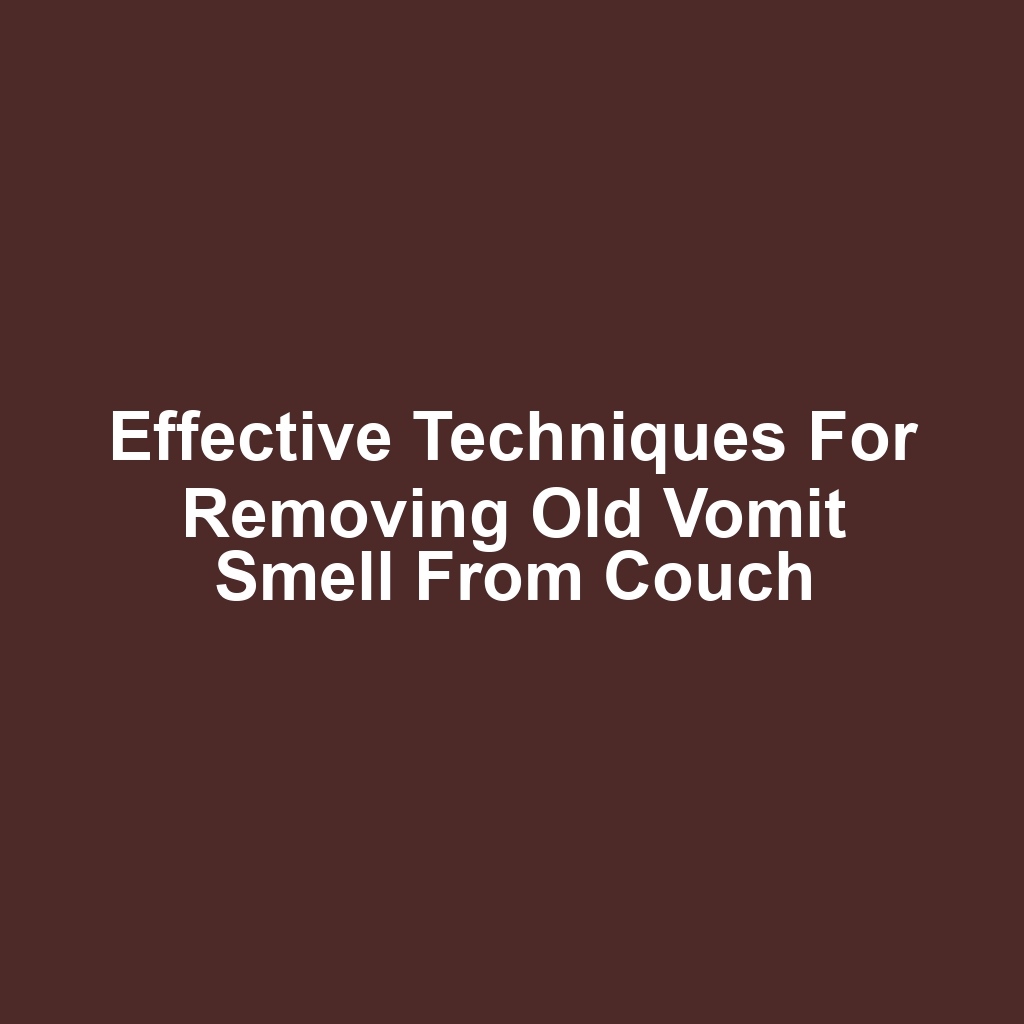 Effective techniques for removing old vomit smell from couch