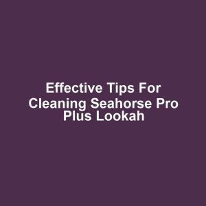 Effective Tips for Cleaning Seahorse Pro Plus Lookah