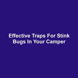 Effective Traps for Stink Bugs in Your Camper
