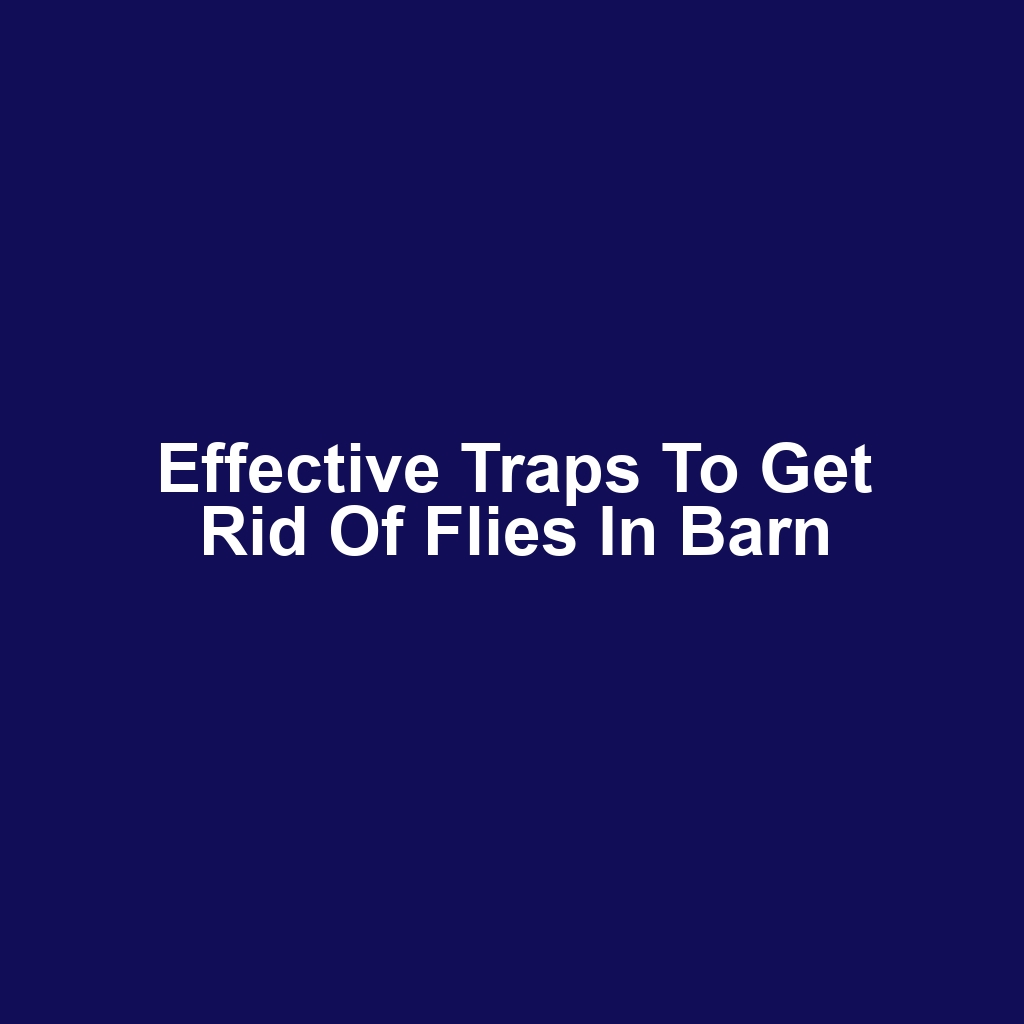 Effective Traps to Get Rid of Flies in Barn