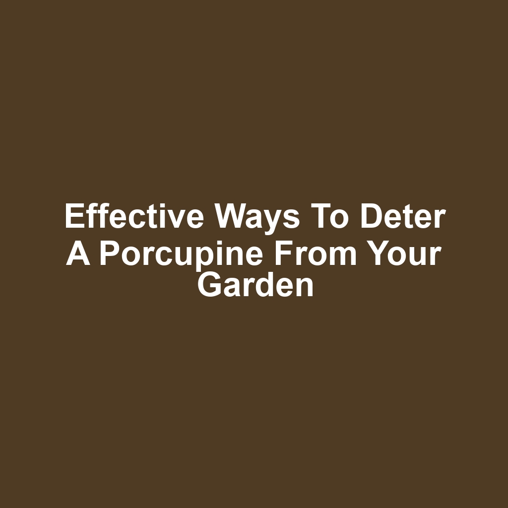 Effective ways to deter a porcupine from your garden
