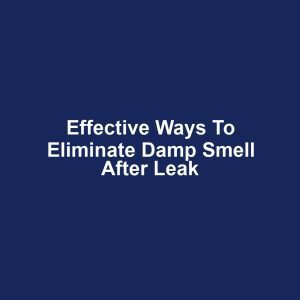 Effective Ways to Eliminate Damp Smell After Leak