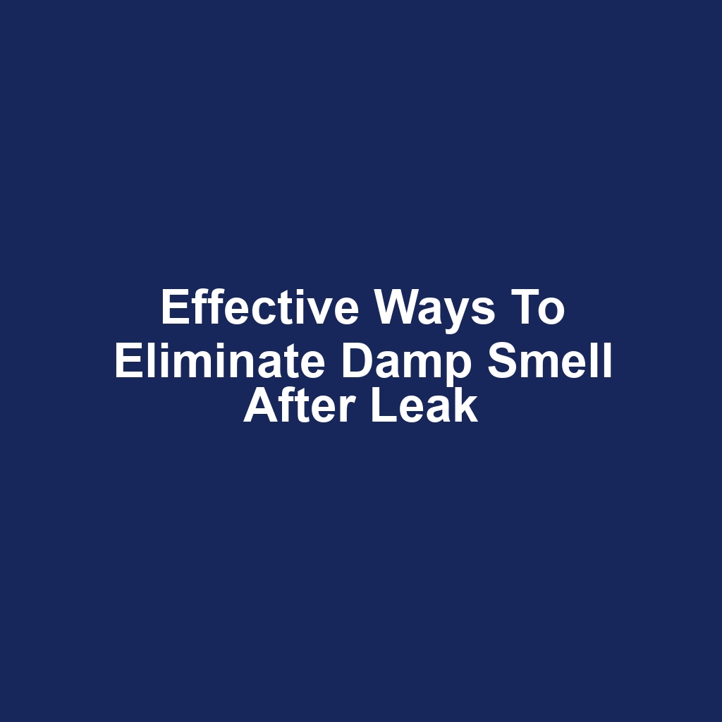Effective Ways to Eliminate Damp Smell After Leak