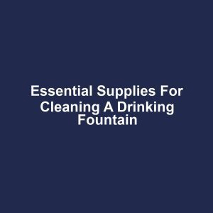 Essential Supplies for Cleaning a Drinking Fountain