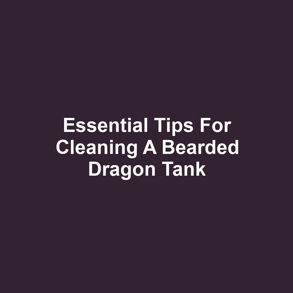 Essential Tips for Cleaning a Bearded Dragon Tank