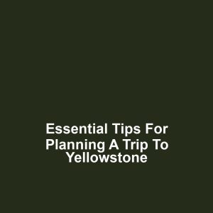 Essential Tips for Planning a Trip to Yellowstone
