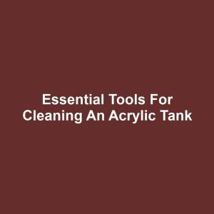 Essential Tools for Cleaning an Acrylic Tank