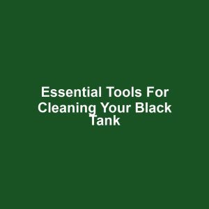 Essential Tools for Cleaning Your Black Tank