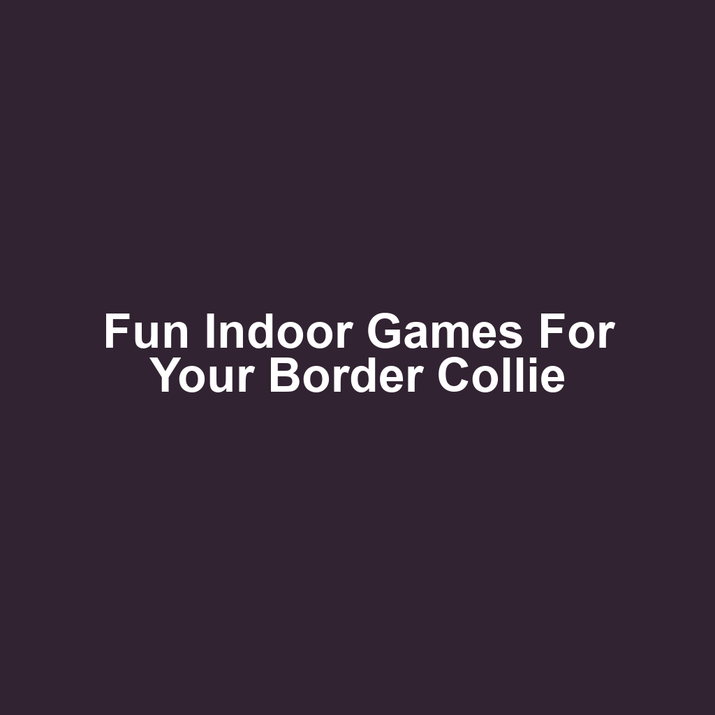 Fun Indoor Games for Your Border Collie