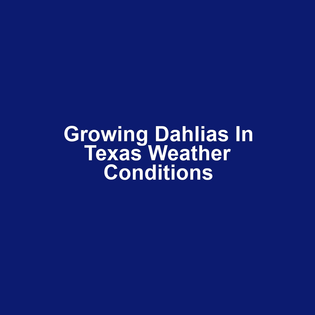 Growing Dahlias in Texas Weather Conditions
