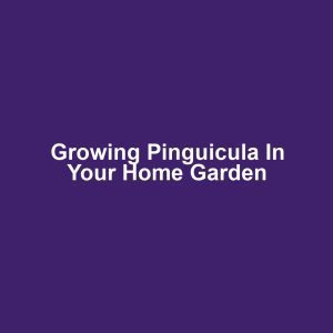 Growing Pinguicula in Your Home Garden