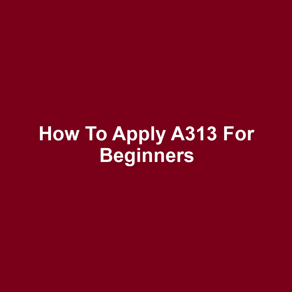 How to Apply A313 for Beginners