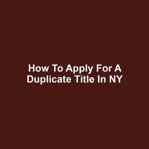 How to Apply for a Duplicate Title in NY
