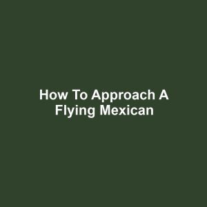 How to Approach a Flying Mexican