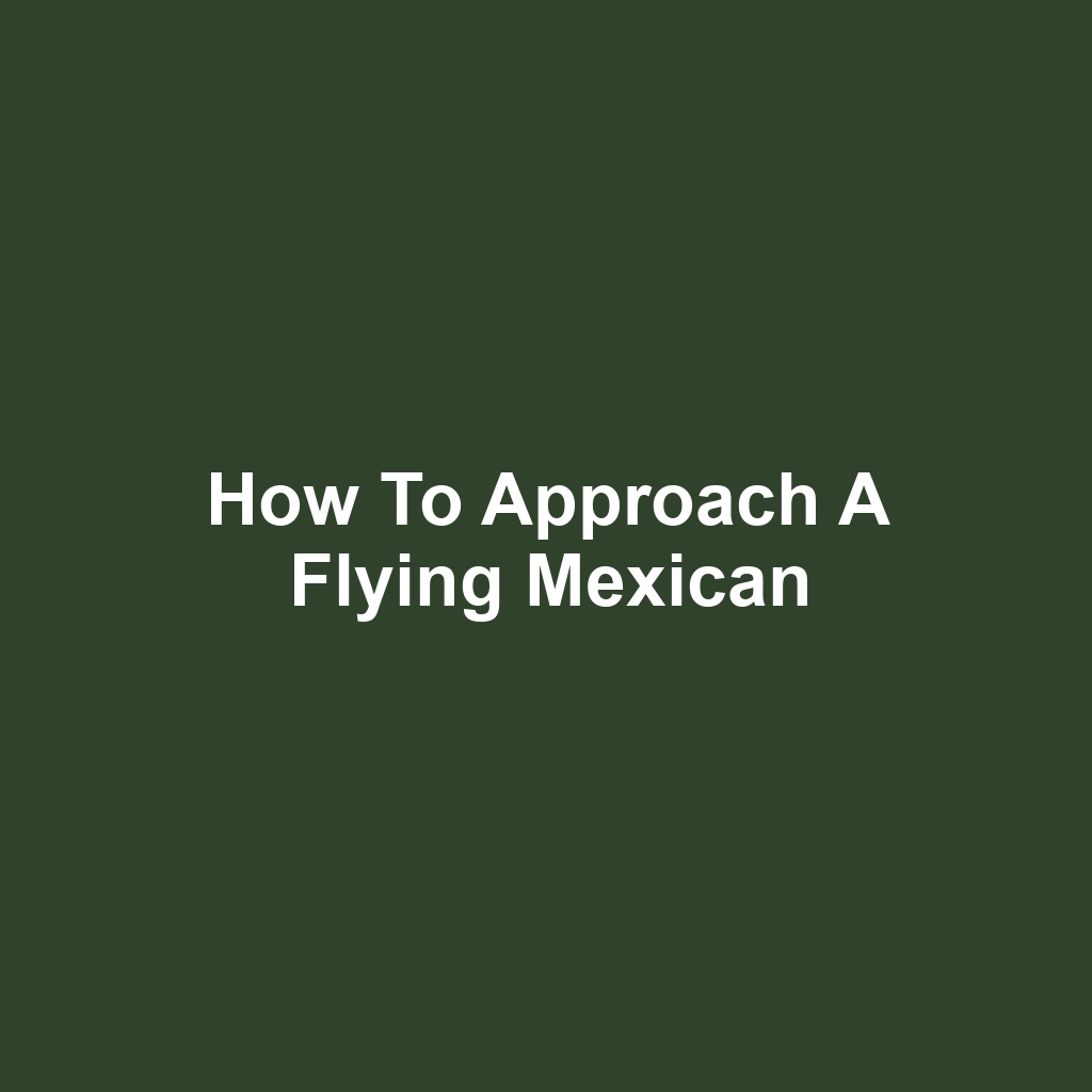 How to Approach a Flying Mexican