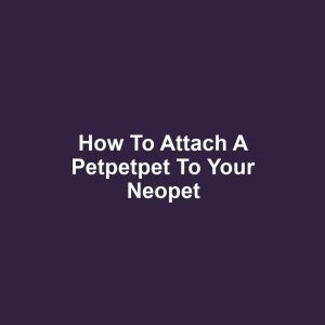 How to Attach a Petpetpet to Your Neopet