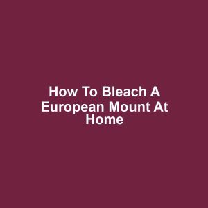 How to Bleach a European Mount at Home