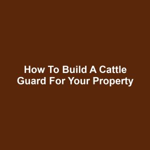 How to Build a Cattle Guard for Your Property