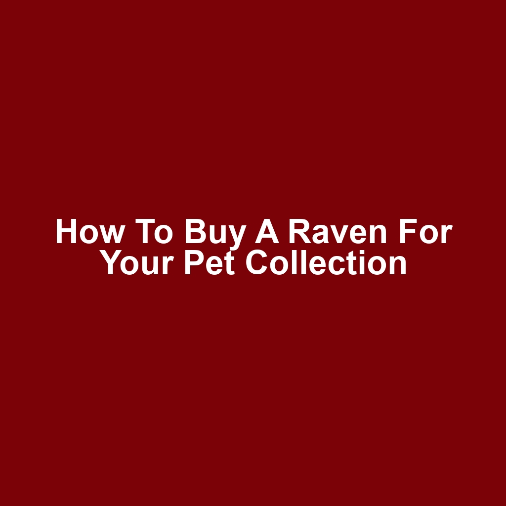 How to Buy a Raven for Your Pet Collection