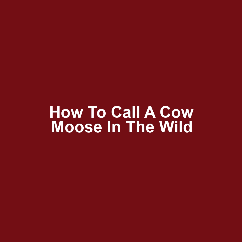 How to Call a Cow Moose in the Wild