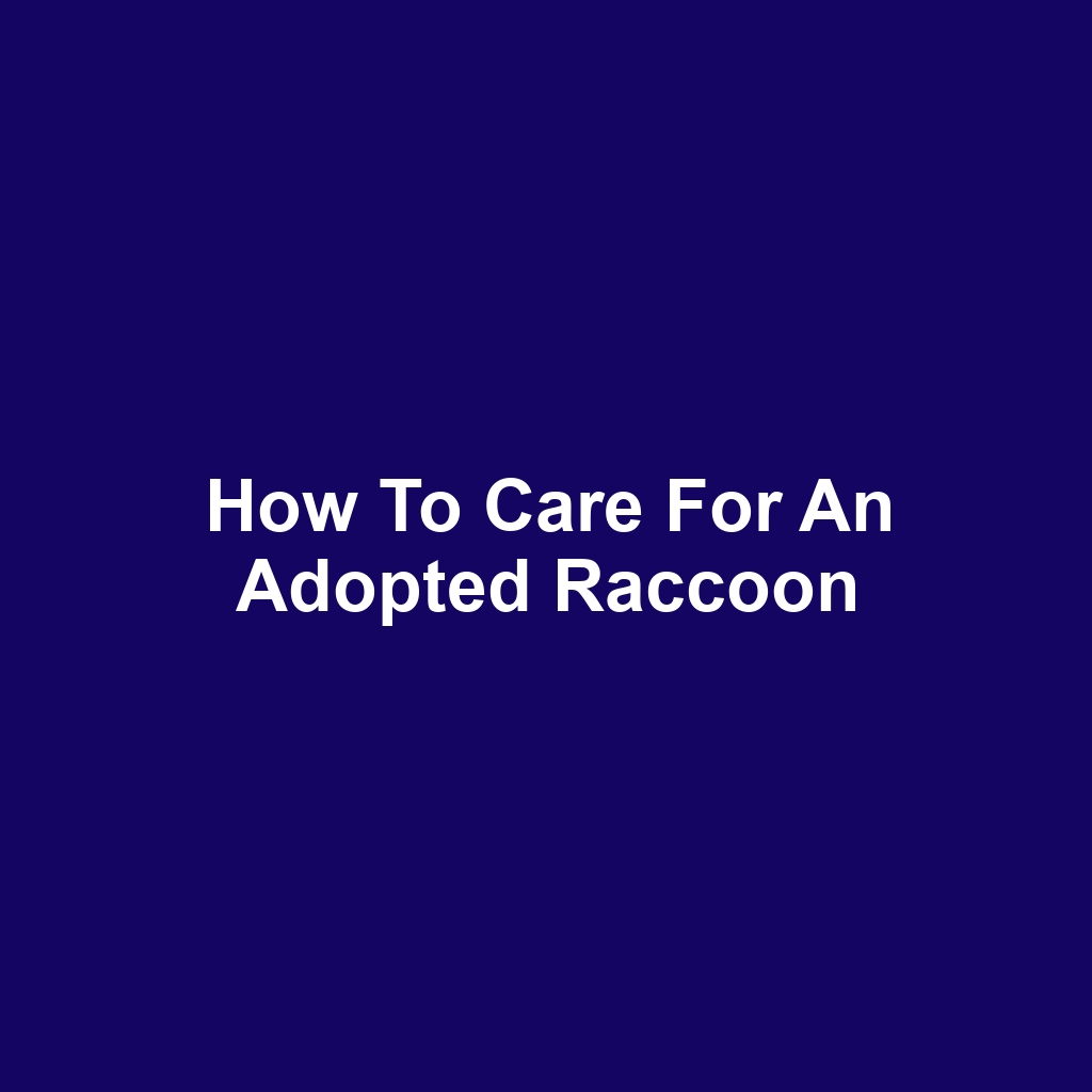 How to Care for an Adopted Raccoon