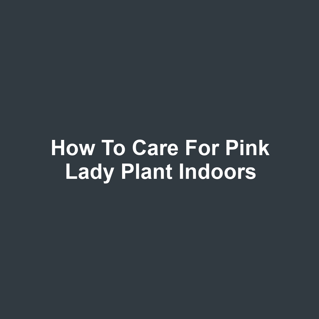 How to care for pink lady plant indoors