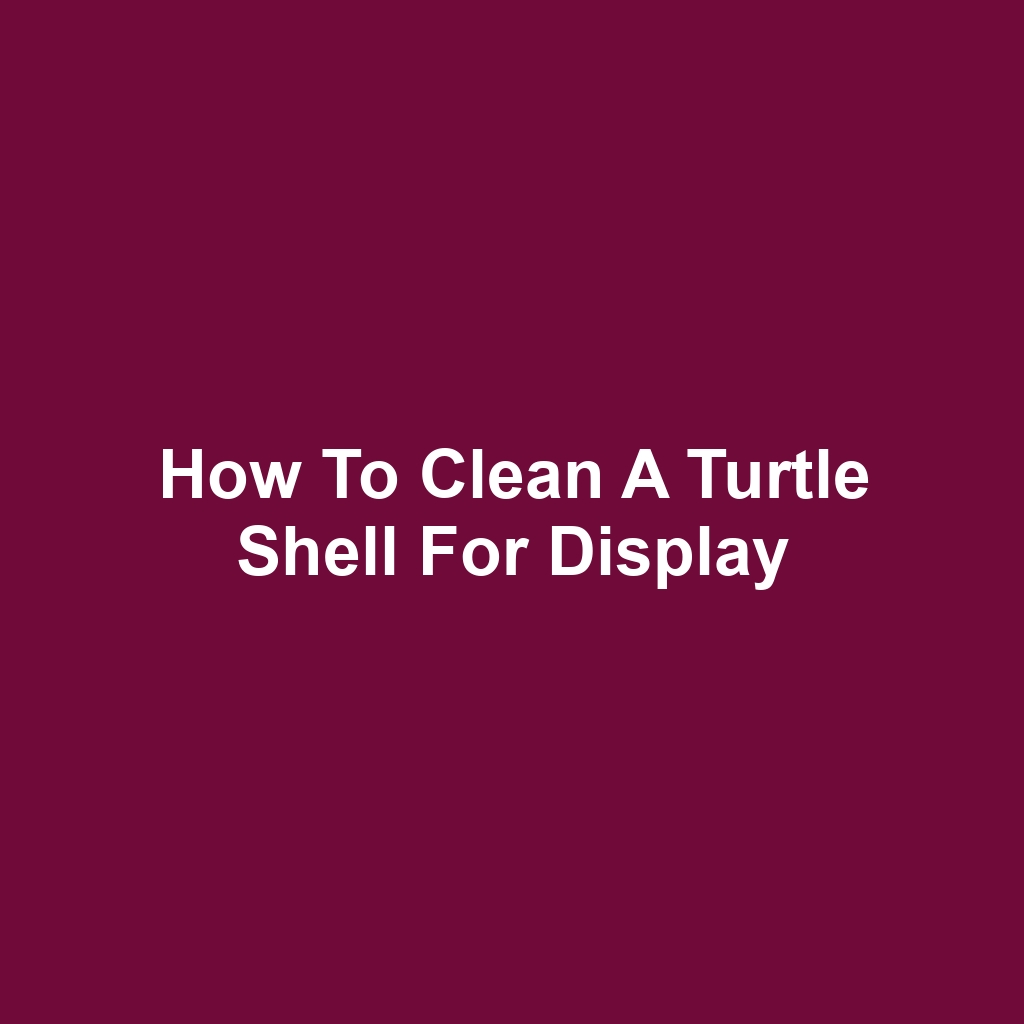 How to Clean a Turtle Shell for Display