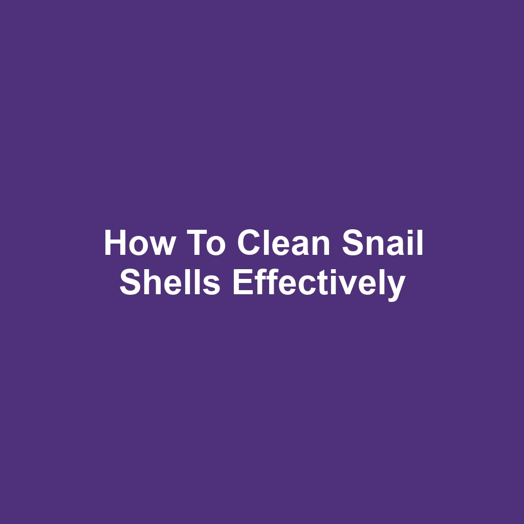 How to Clean Snail Shells Effectively