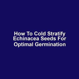 How to Cold Stratify Echinacea Seeds for Optimal Germination