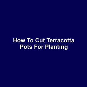 How to Cut Terracotta Pots for Planting