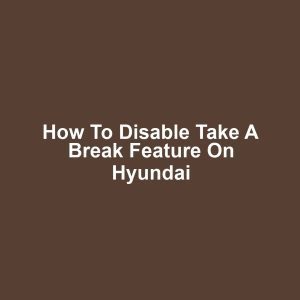 How to Disable Take a Break Feature on Hyundai