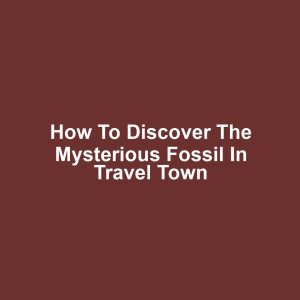 How to Discover the Mysterious Fossil in Travel Town