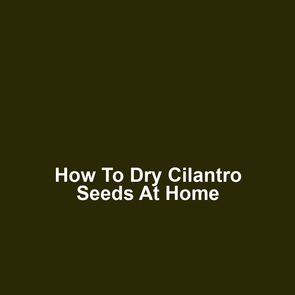 How to Dry Cilantro Seeds at Home