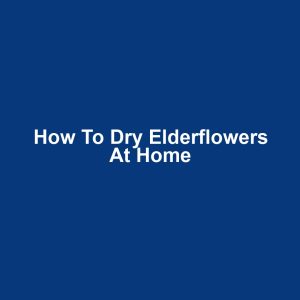 How to Dry Elderflowers at Home
