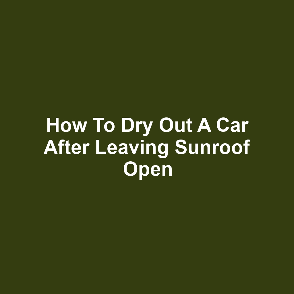 How to Dry Out a Car After Leaving Sunroof Open