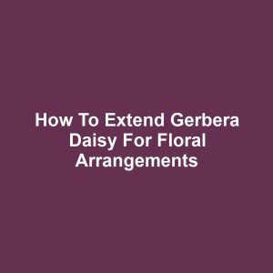 How to Extend Gerbera Daisy for Floral Arrangements