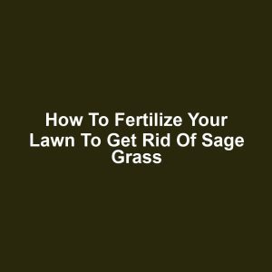 How to Fertilize Your Lawn to Get Rid of Sage Grass