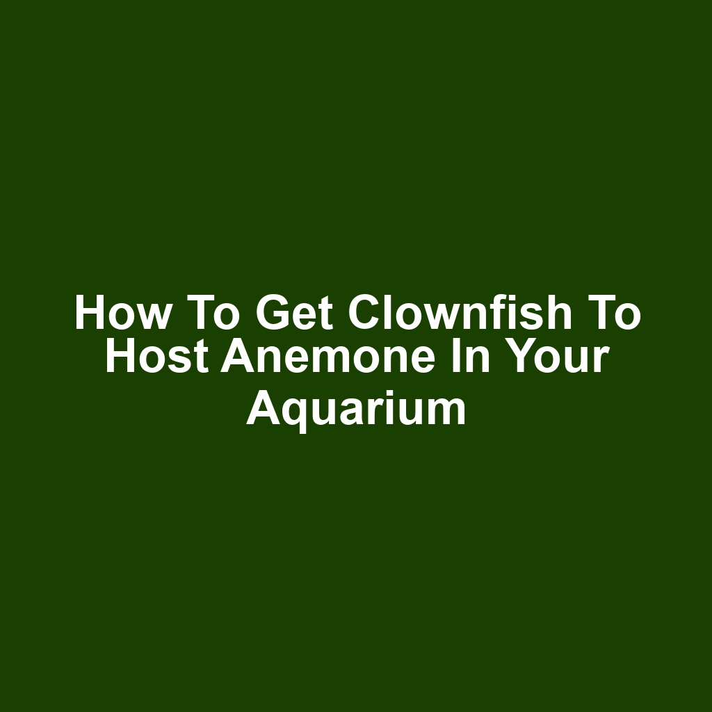 How to Get Clownfish to Host Anemone in Your Aquarium