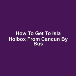 How to get to isla holbox from cancun by bus