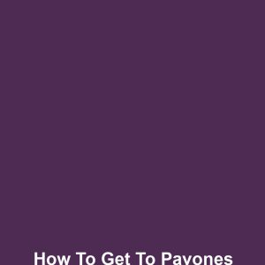 How to get to pavones from san jose