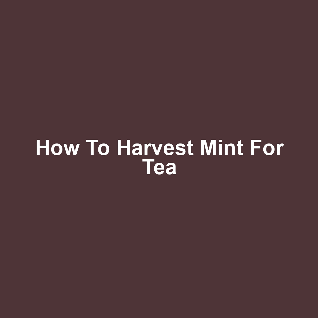 How to Harvest Mint for Tea
