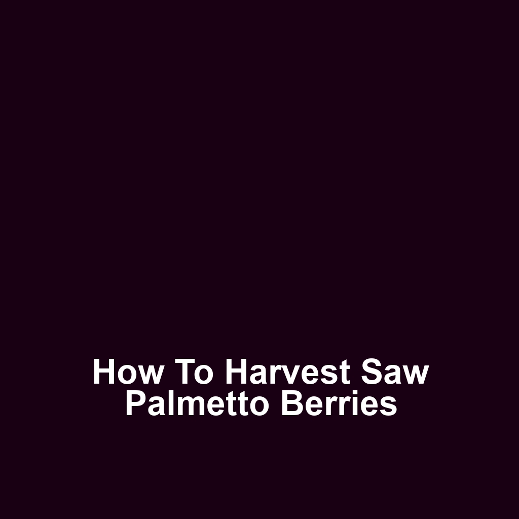 How to Harvest Saw Palmetto Berries
