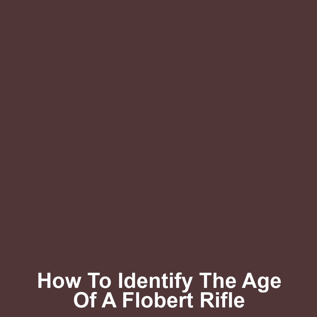 How to Identify the Age of a Flobert Rifle