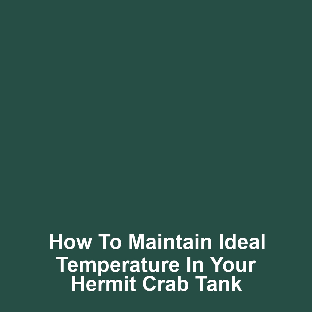 How to Maintain Ideal Temperature in Your Hermit Crab Tank