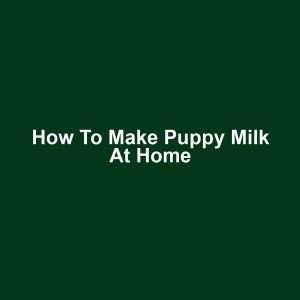 How to Make Puppy Milk at Home
