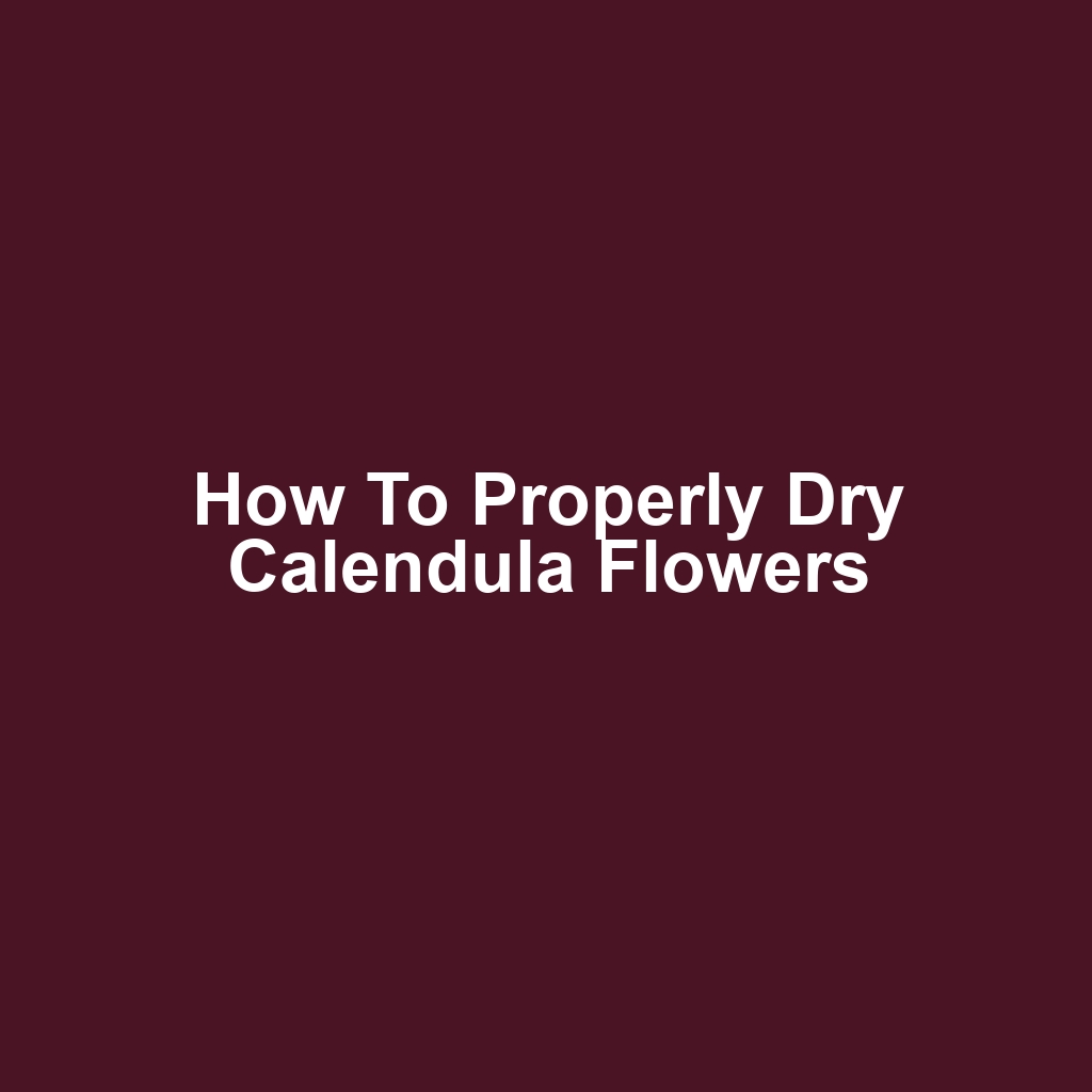 How to Properly Dry Calendula Flowers