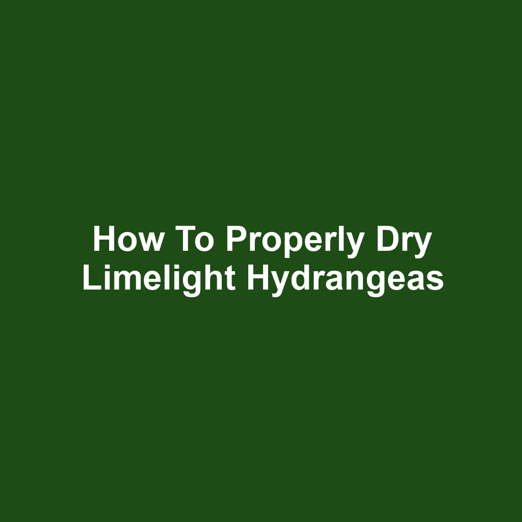 How to Properly Dry Limelight Hydrangeas