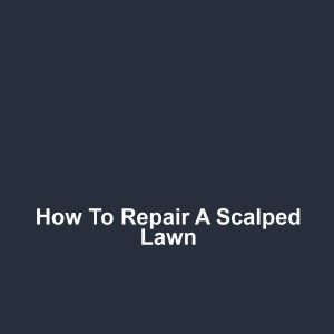 How to Repair a Scalped Lawn