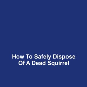 How to Safely Dispose of a Dead Squirrel