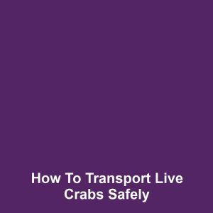 How to Transport Live Crabs Safely